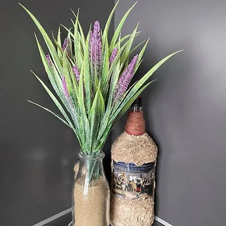 Lejlighed Anastasia Sapareva Banya