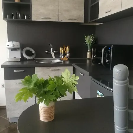 Anastasia 公寓 萨帕雷瓦巴尼亚