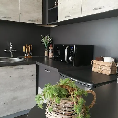 Lejlighed Anastasia Sapareva Banya