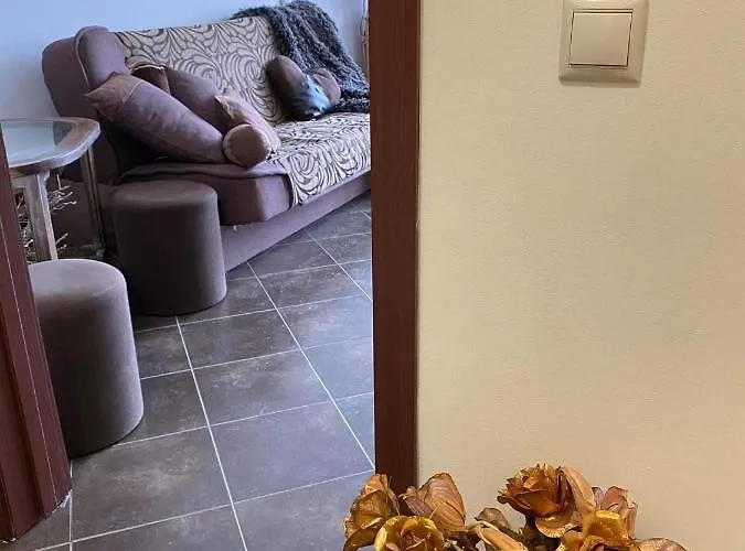 アパート Anastasia