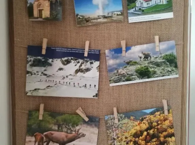 Appartamento Anastasia