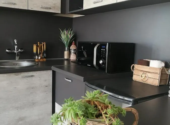 アパート Anastasia サパレヴァ・バニャ